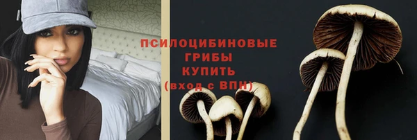 стафф Белоозёрский