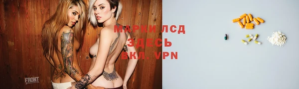 трава Беломорск
