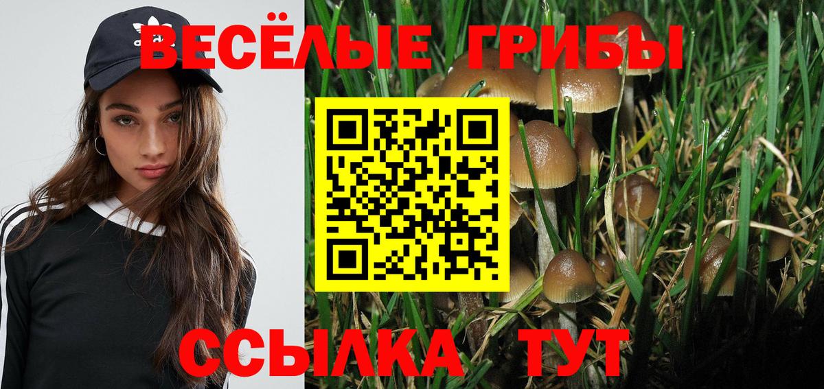 Галлюциногенные грибы прущие грибы Пыть-Ях